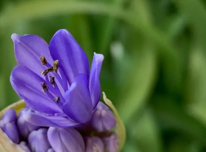 Casa Vacanze Lido Sant'angelo *