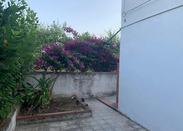 Casa Vacanze Lido Sant'angelo Casa vacanze